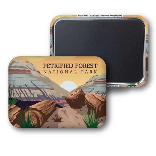 Petrified Forest Illustration