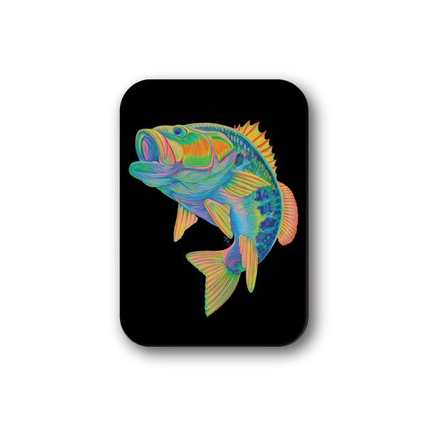 Rainbow Bass