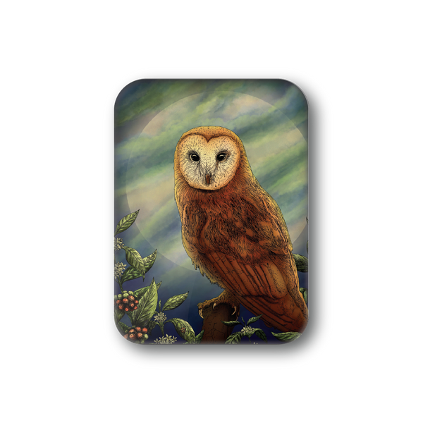 Night Owl