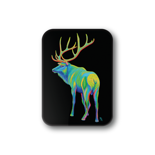 Rainbow Elk