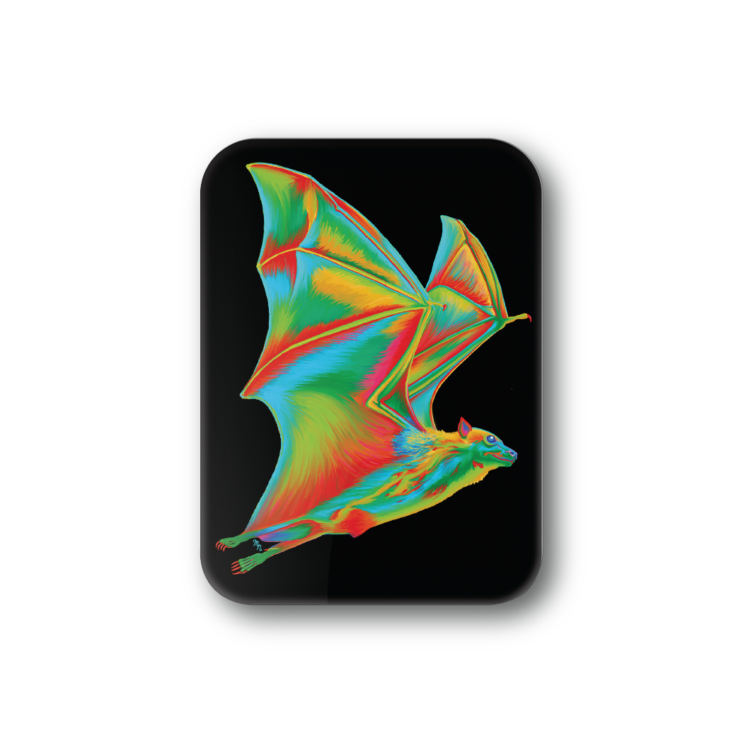 Rainbow Bat
