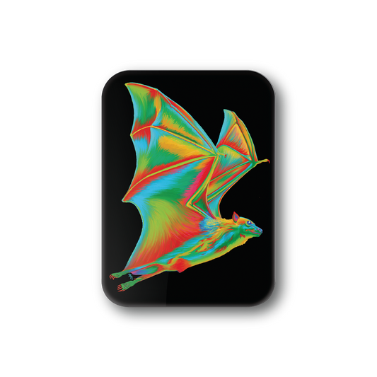 Rainbow Bat