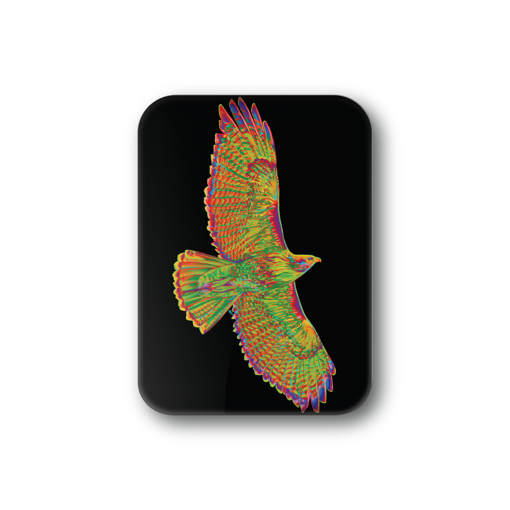 Rainbow Hawk