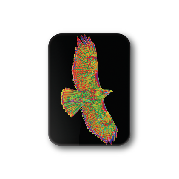 Rainbow Hawk