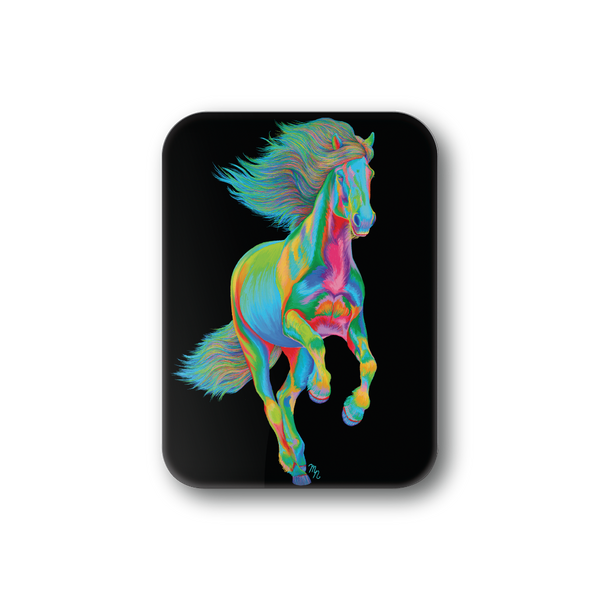 Rainbow Horse