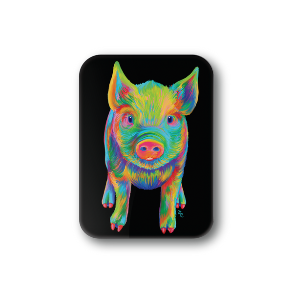 Rainbow Pig