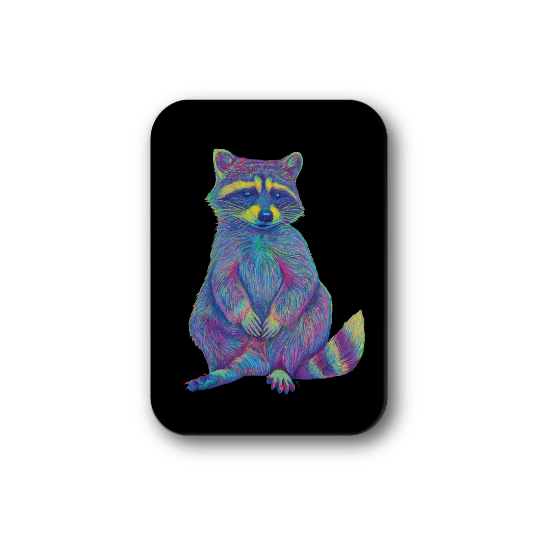 Rainbow Racoon