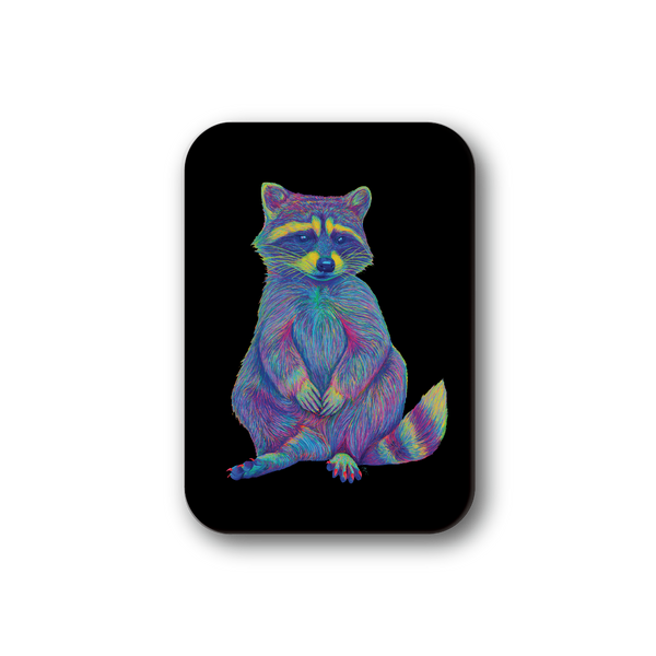 Rainbow Racoon