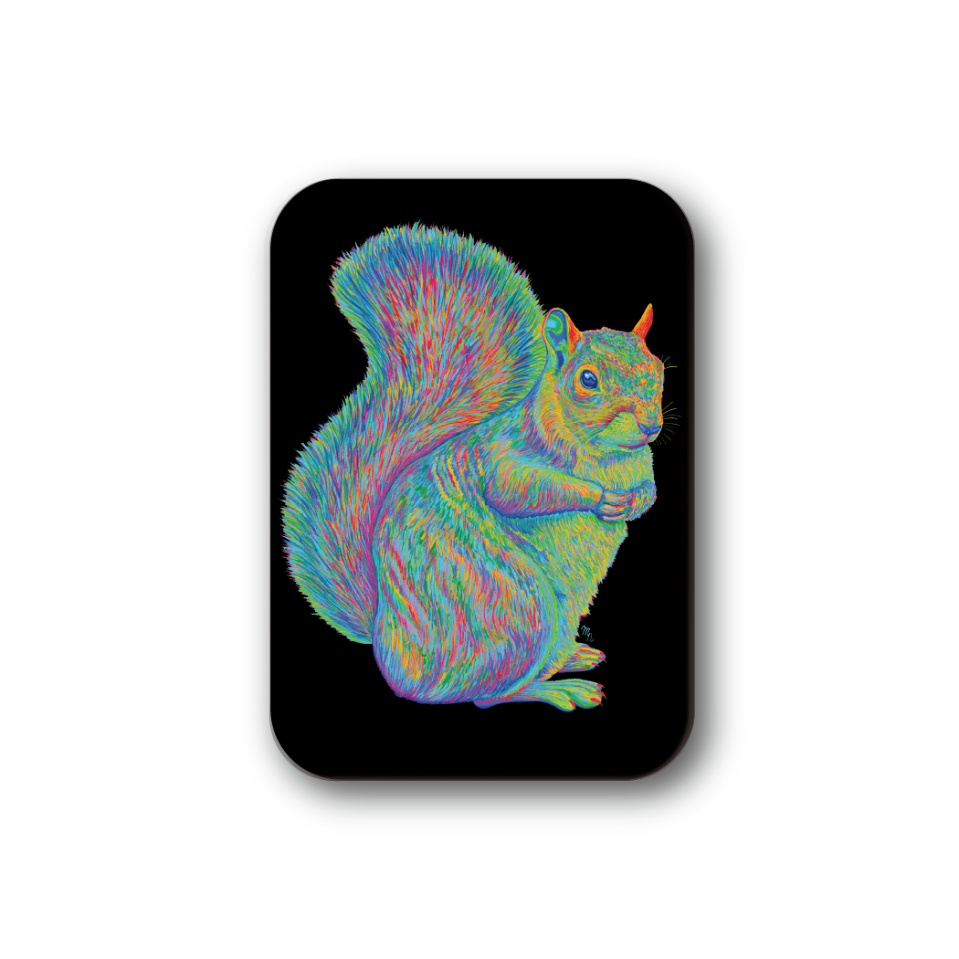 Rainbow Squirrel
