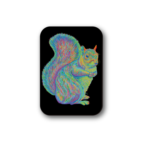 Rainbow Squirrel