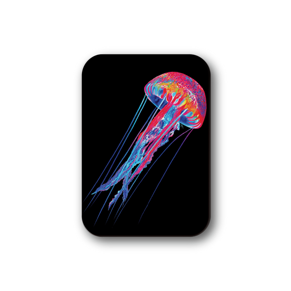 Rainbow Jellyfish