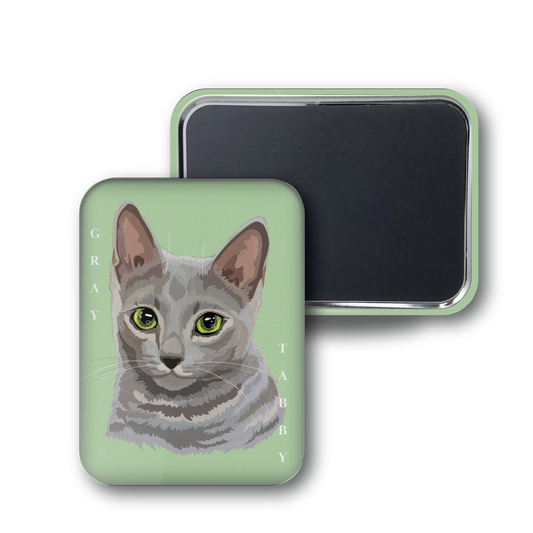Gray Tabby
