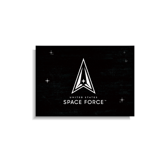 United States Space Forceª Flag