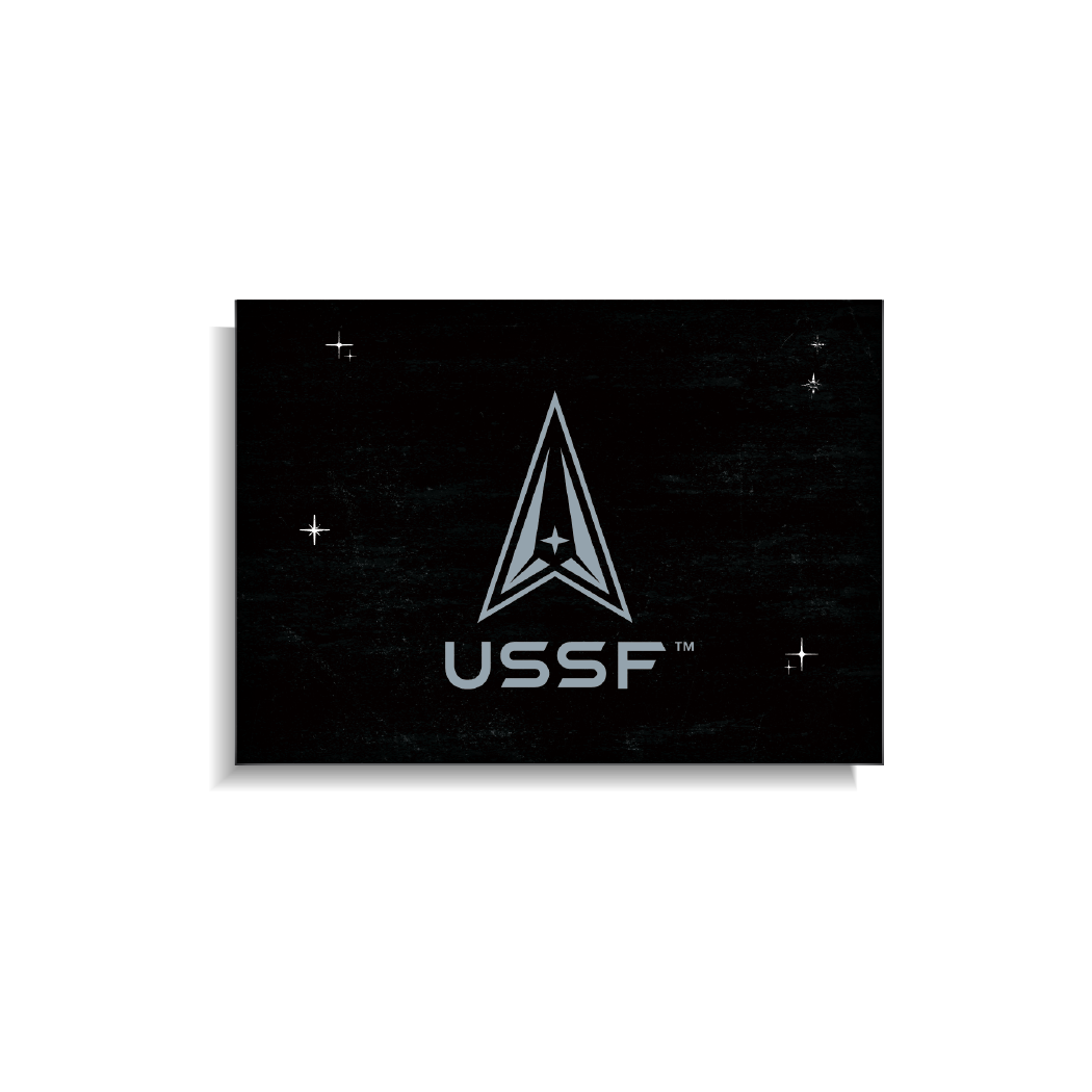 USSFª Flag (Black)